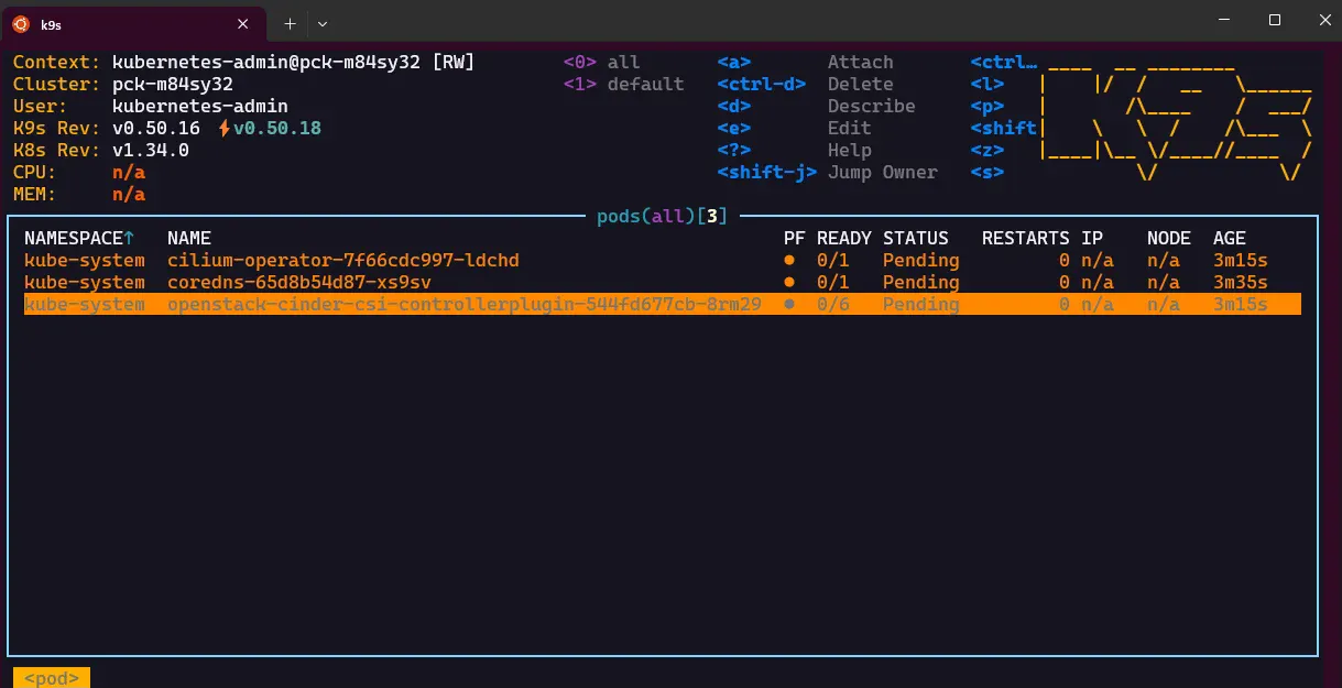k9s showing system pods stuck in Pending state
